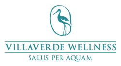 Logo Villaverde Wellness